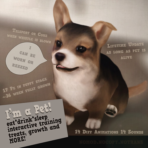 Corgi Pet Puppy @seasons story *BUGS FIXED v1.2